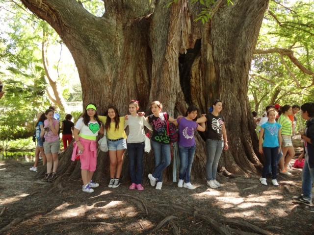 Excursiones escolaternera